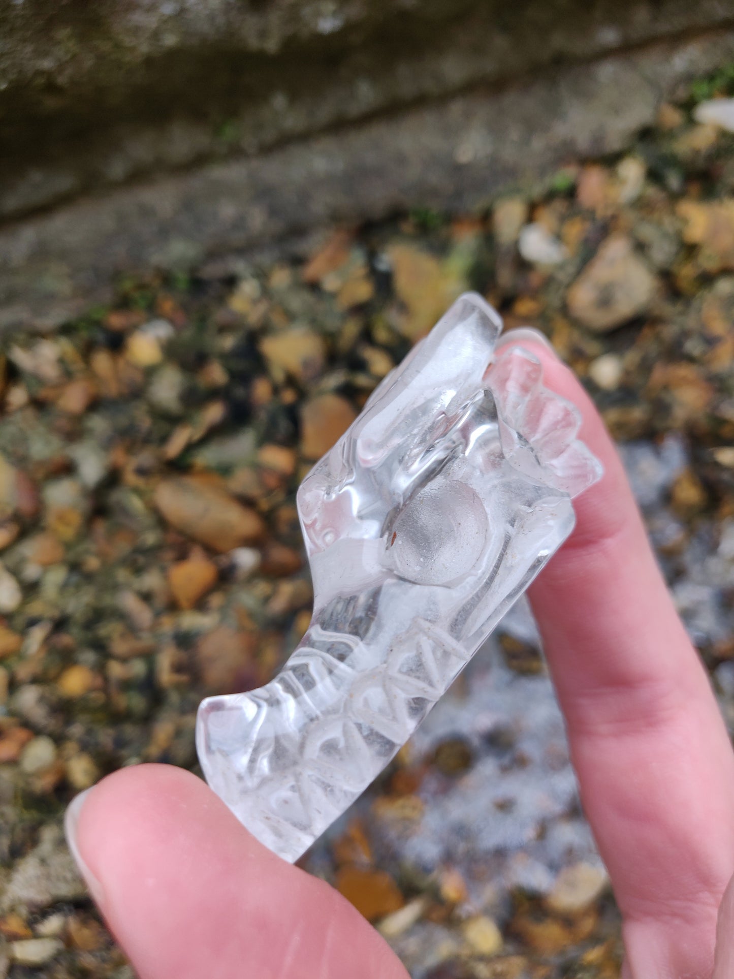 Clear Quartz Dragon Skull