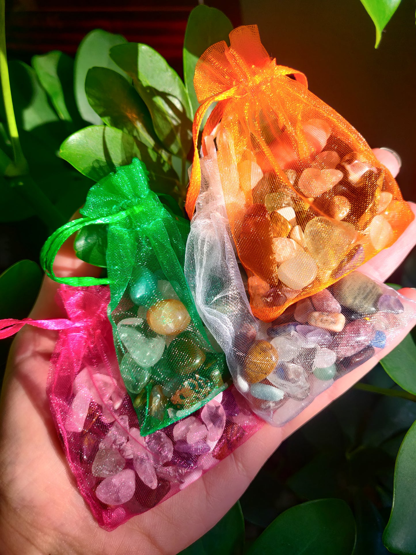 Mystery Crystal Chip Bag