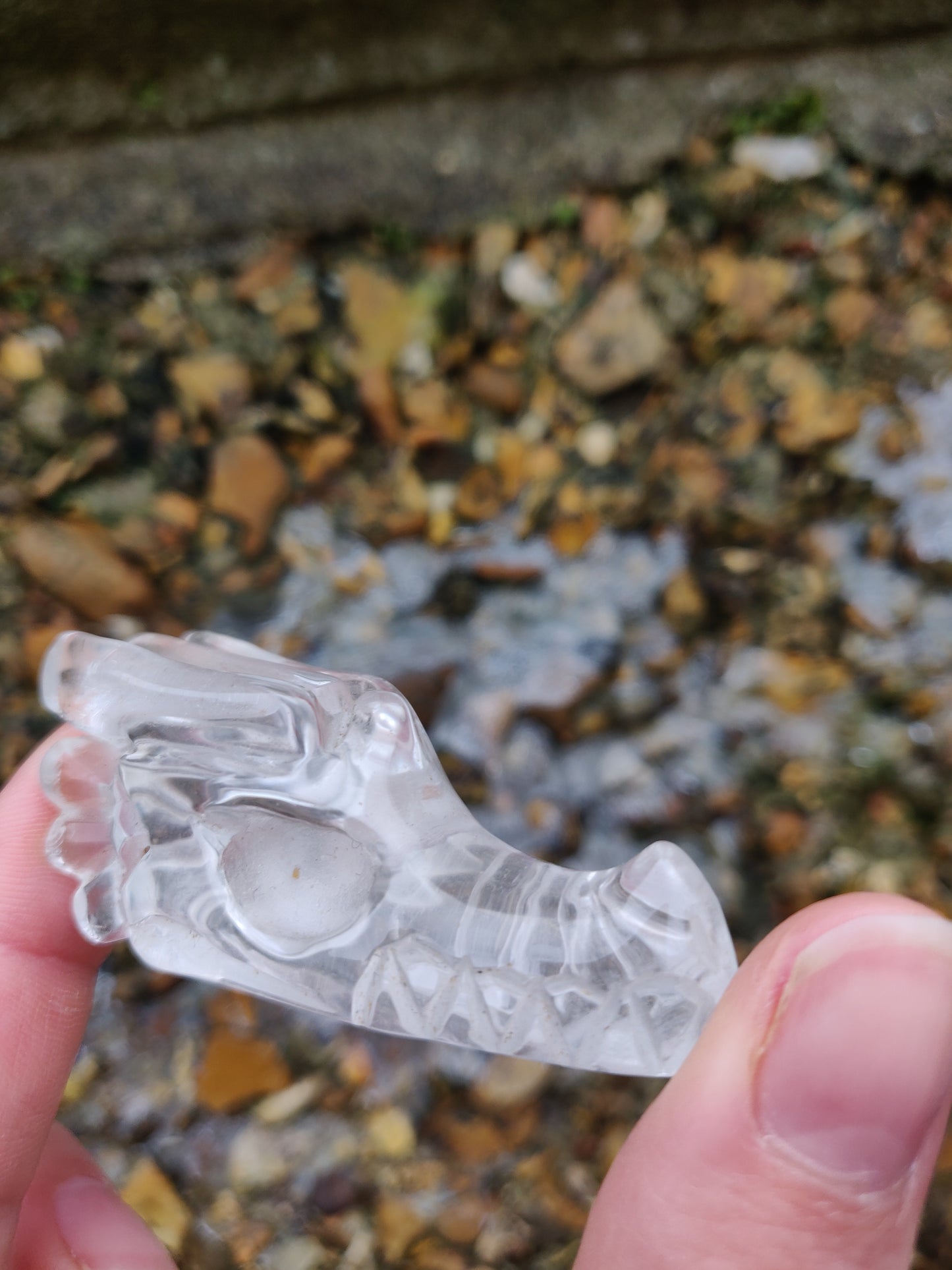 Clear Quartz Dragon Skull
