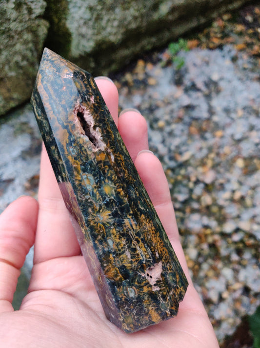 Orbicular Jasper 10.5 cm